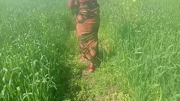 गेहूँ के खेत मे रगड़ के चोद देहाती विडियो free video