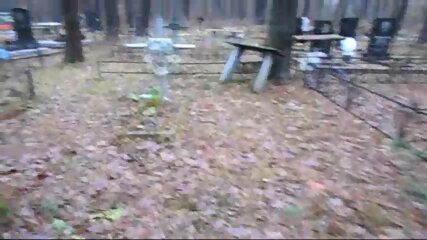 Hooligan On The Path, Through The Cemetery. 91 free video